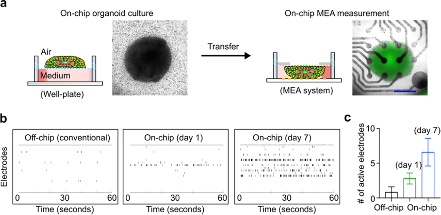 Figure 3.