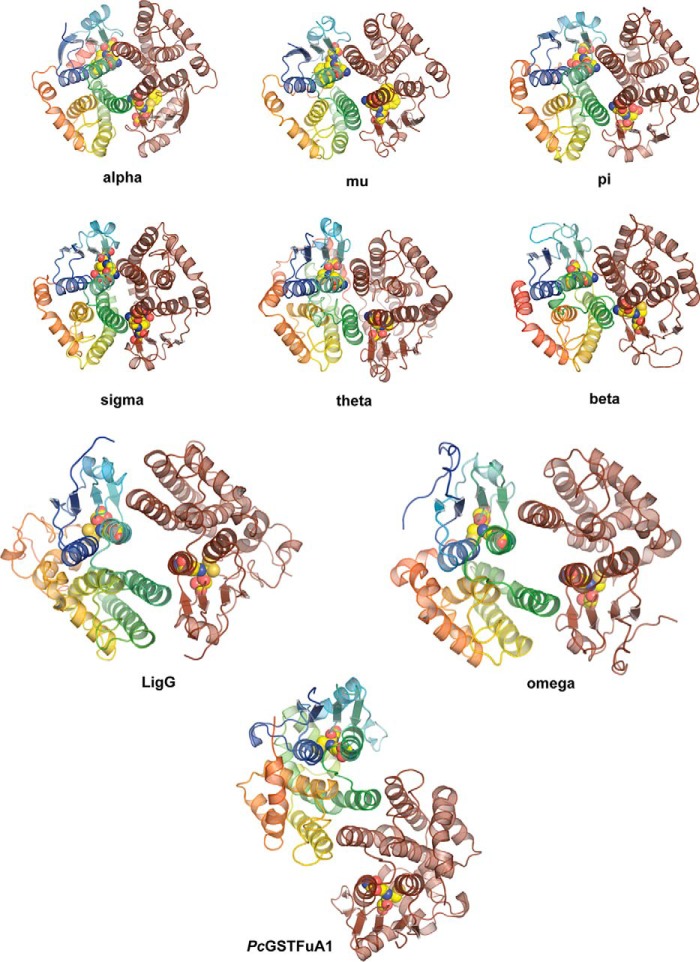 FIGURE 4.