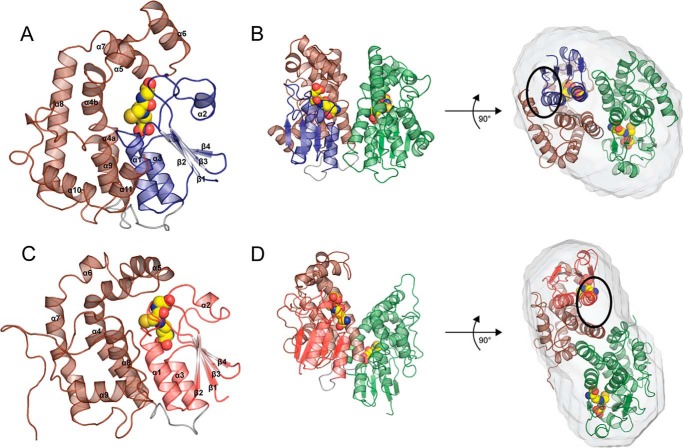 FIGURE 2.