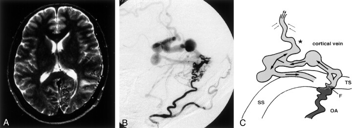 Fig 1.