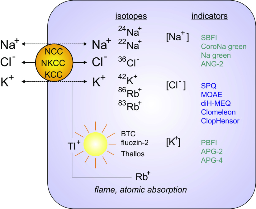 Figure 4.