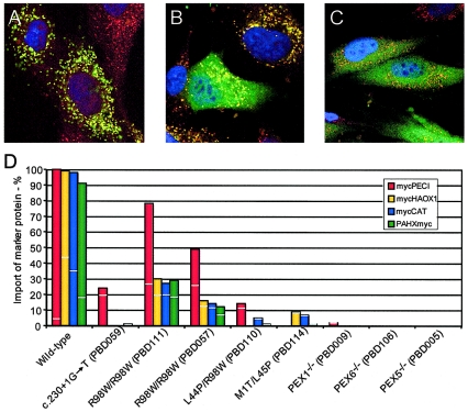 Figure  2