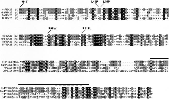 Figure  1