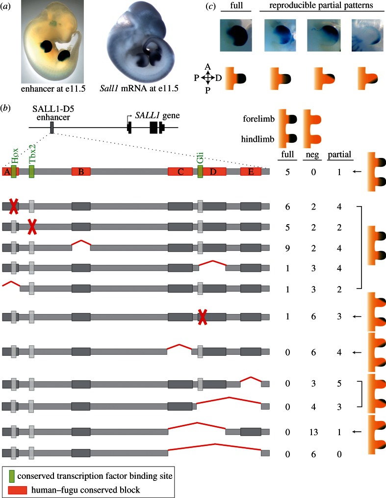 Figure 1.