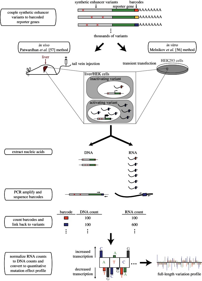 Figure 2.