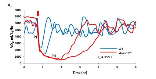 Figure 4A