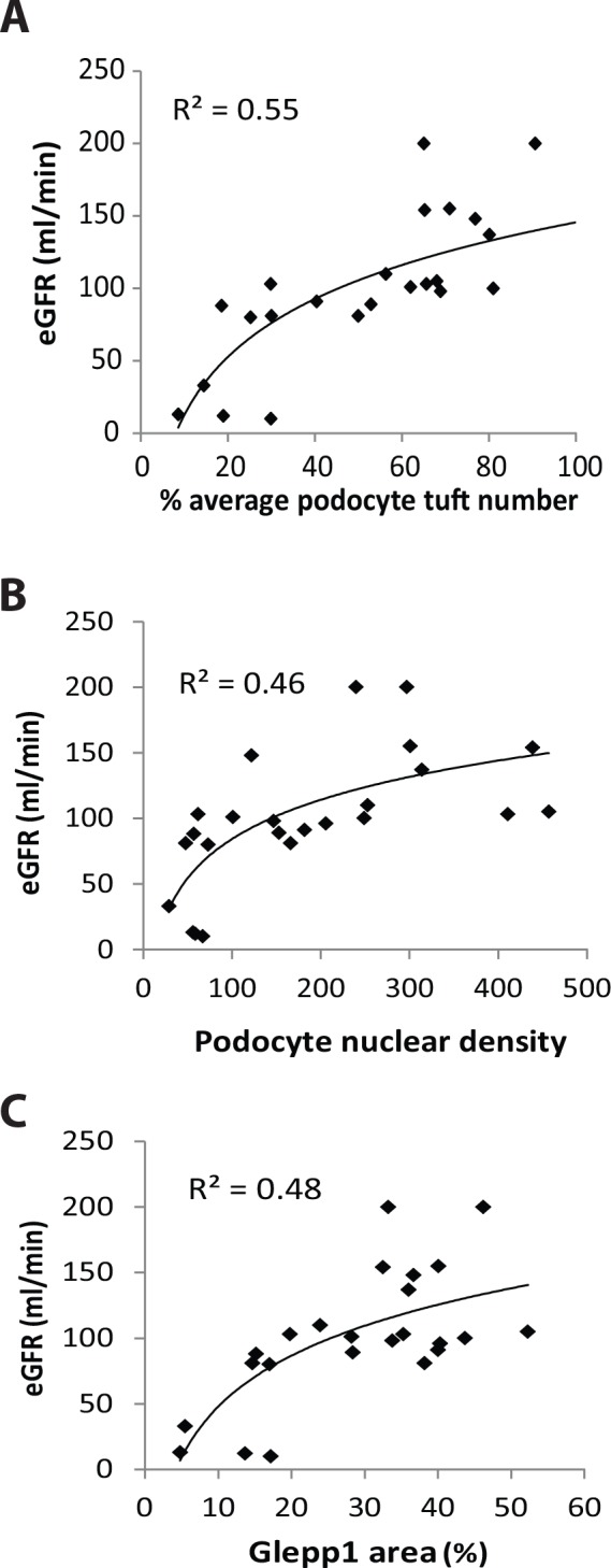 Fig 5