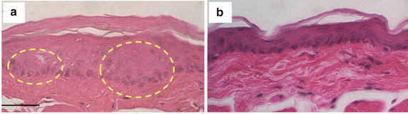 Fig. 6