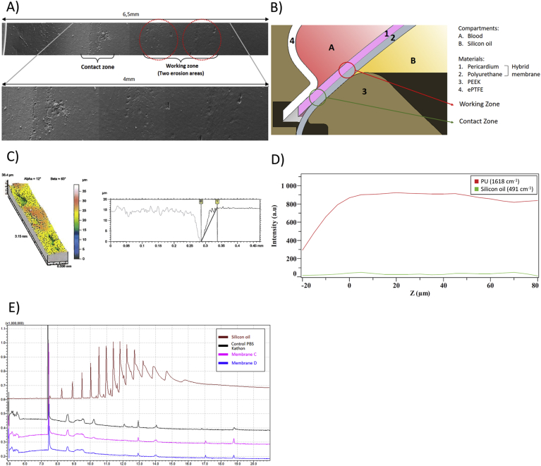 Figure 3