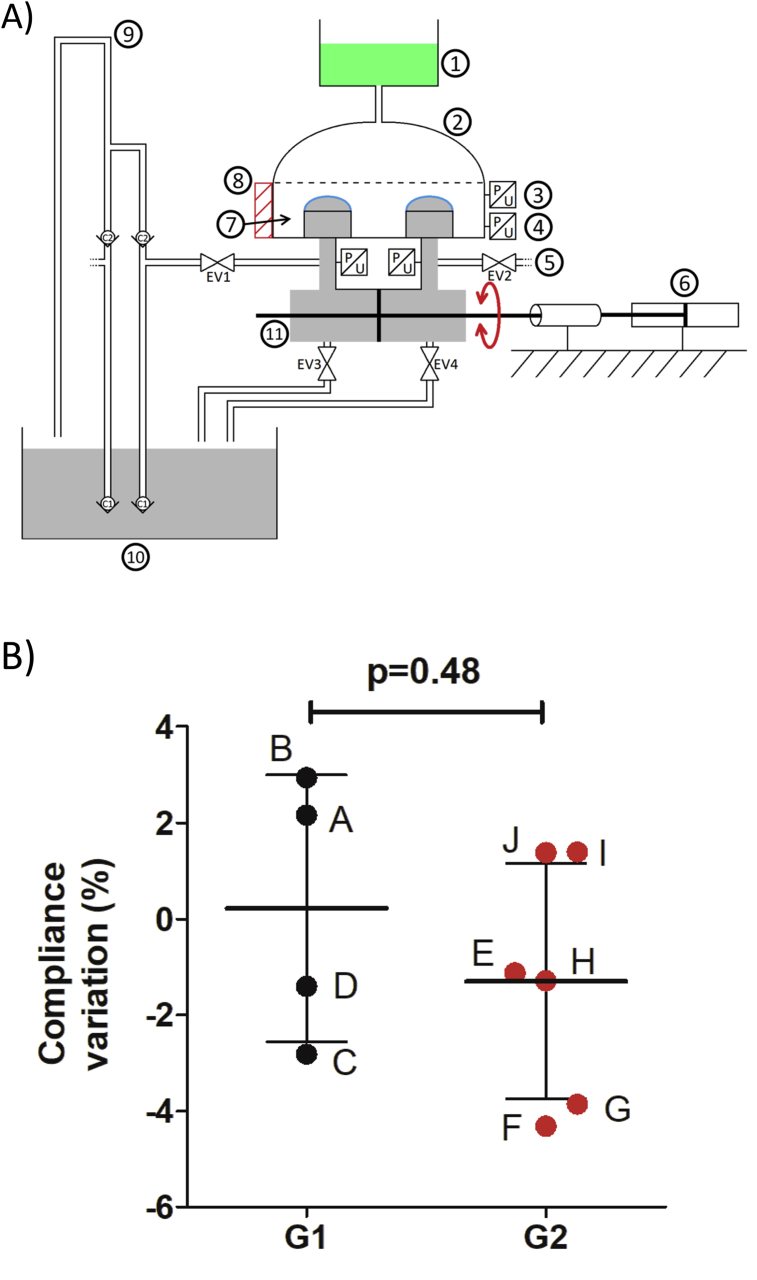 Figure 1