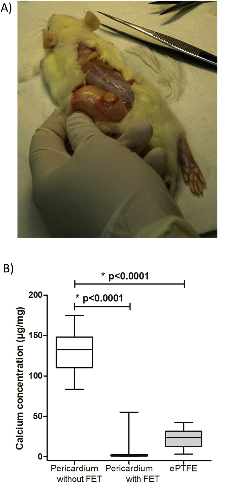 Figure 4