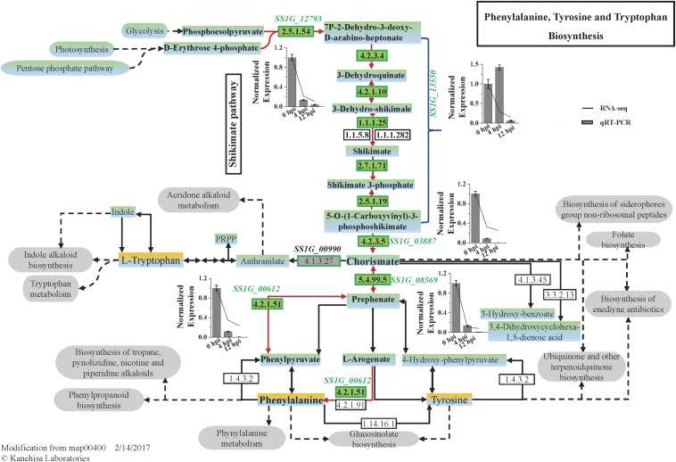 FIGURE 4