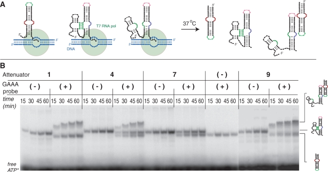 Figure 6.