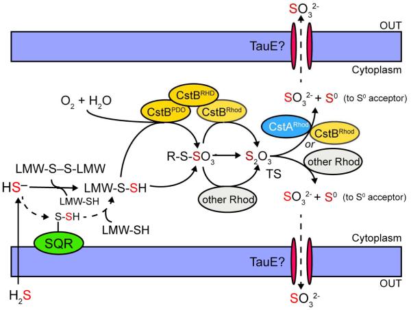 Figure 9