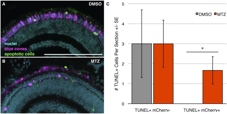 Fig 6