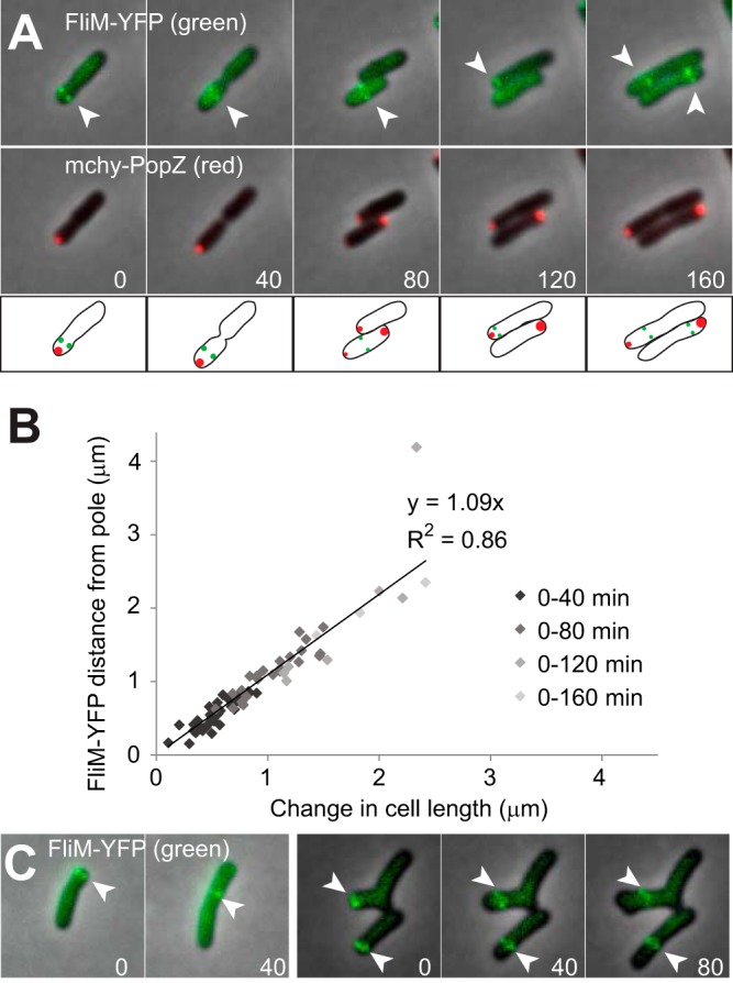 FIG 4