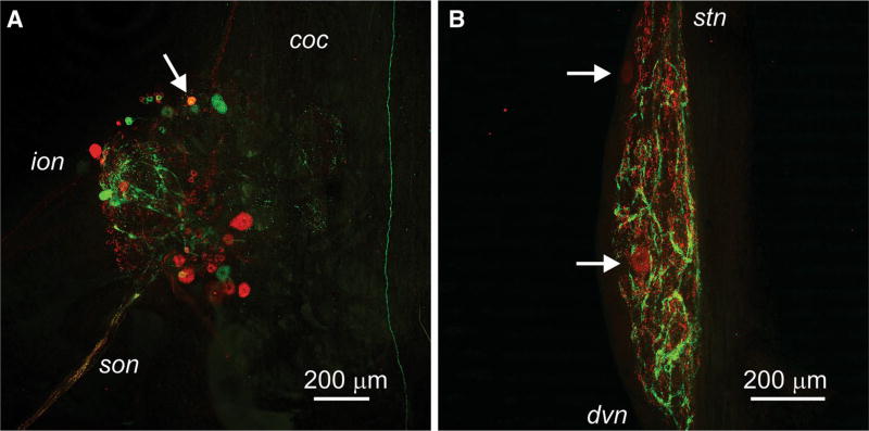 Fig. 3