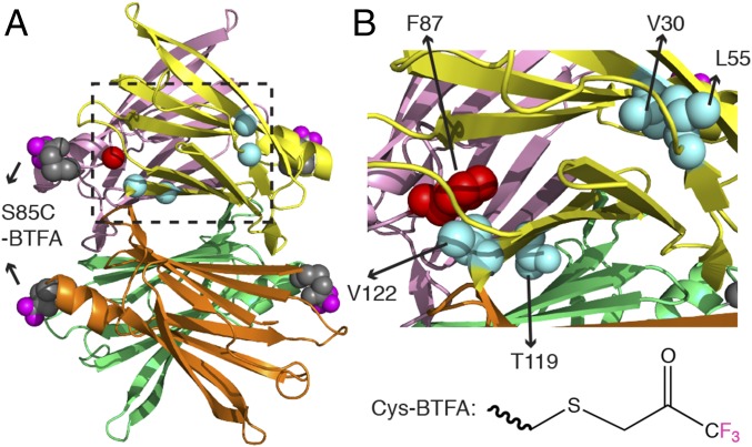 Fig. 1.