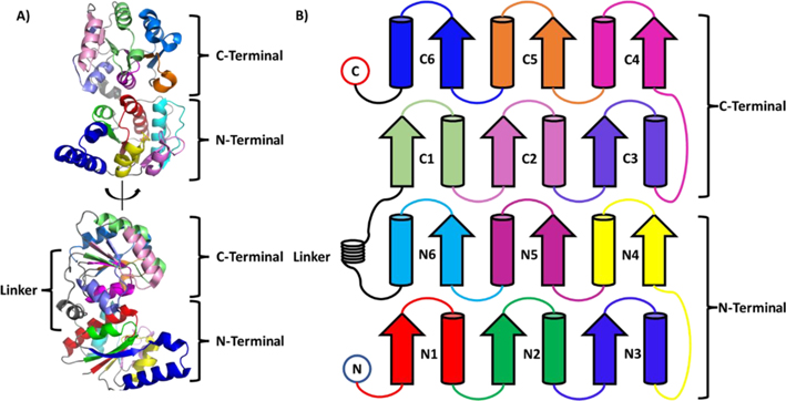 Figure 1.