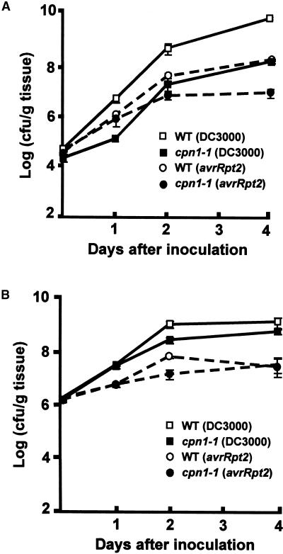 Figure 5.