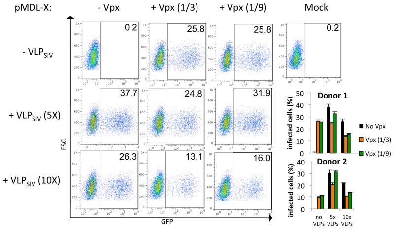 Fig. 3