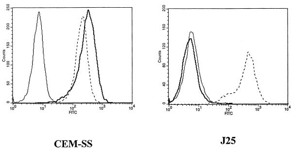 FIG. 1