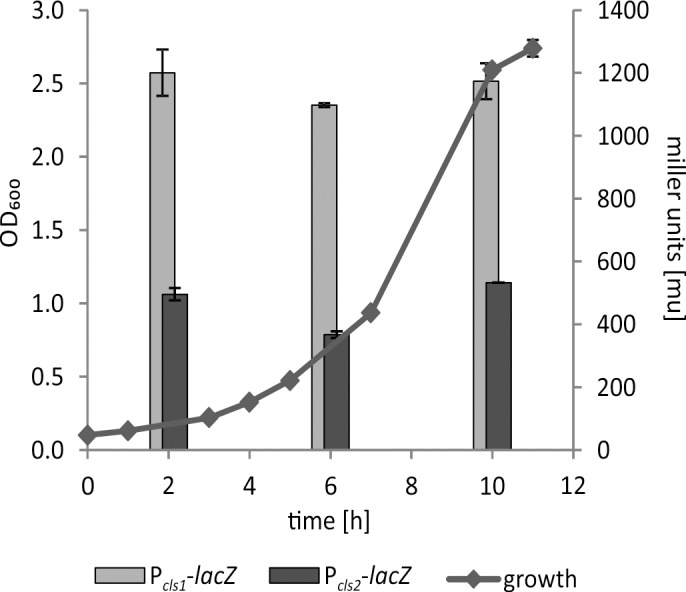 Fig 6