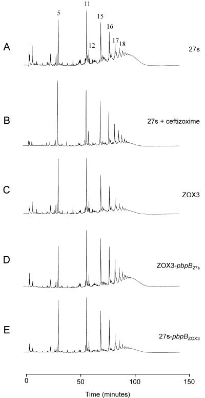 FIG. 5.