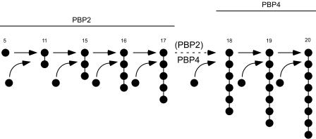 FIG. 8.