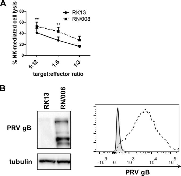 FIG 2