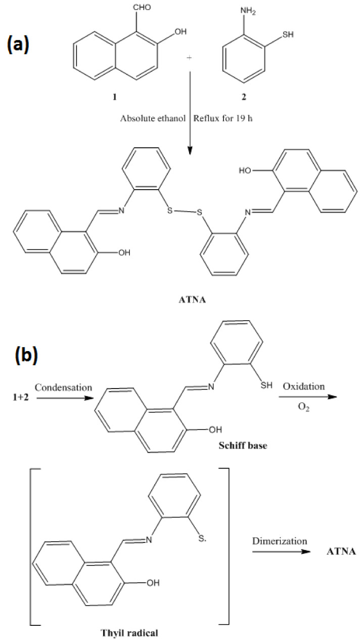 Scheme 2