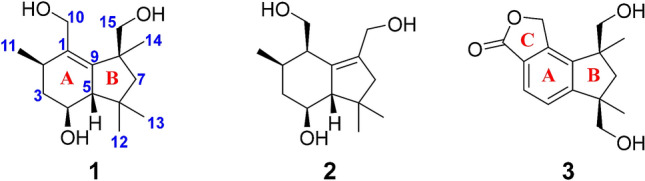 Fig. 1