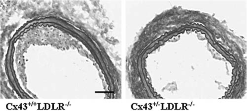 FIG. 7.