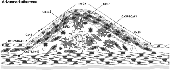 FIG. 5.