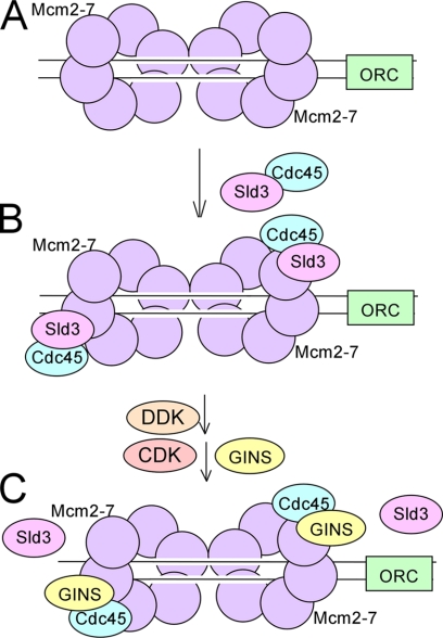 FIGURE 7.