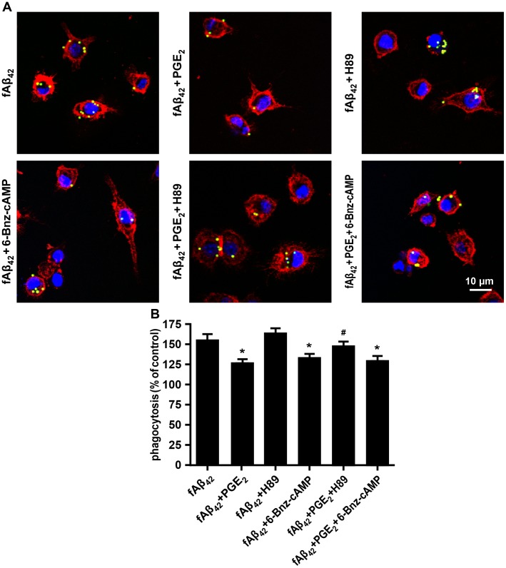 Fig 6