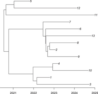 Figure 5