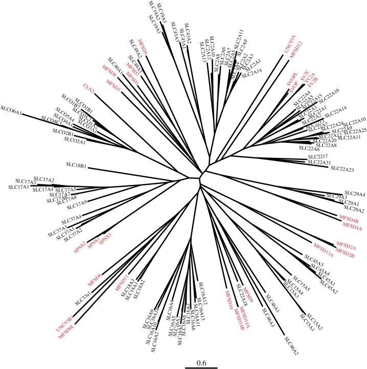 Figure 2.