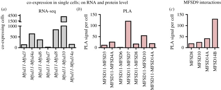 Figure 6.