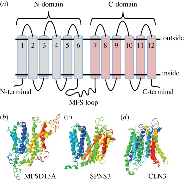 Figure 4.