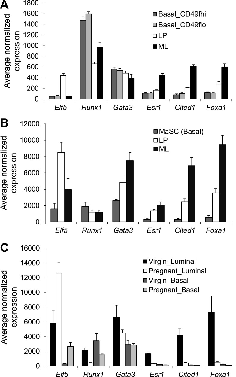 Figure 1—figure supplement 1.