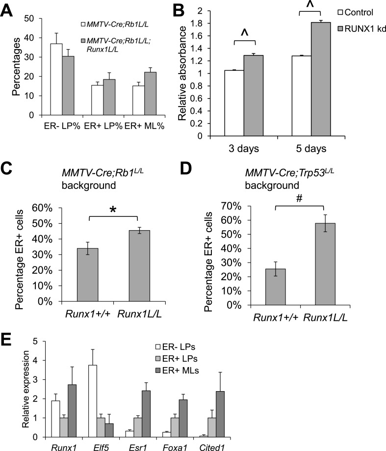 Figure 7—figure supplement 2.