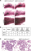 Figure 3—figure supplement 1.