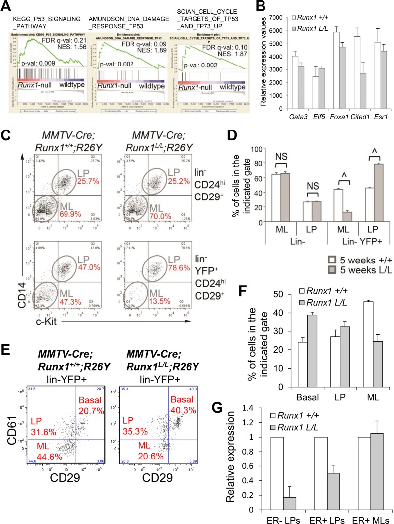 Figure 4—figure supplement 1.