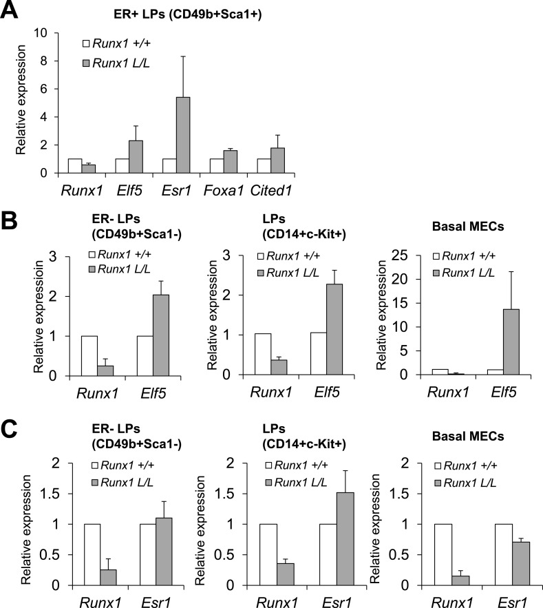 Figure 7—figure supplement 1.