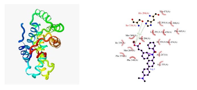 Figure 7