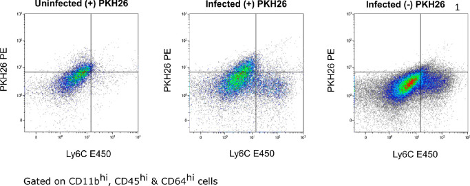 Figure 6—figure supplement 2.