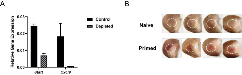 Figure 5—figure supplement 2.