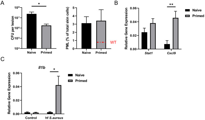 Figure 6—figure supplement 1.