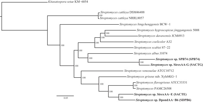 FIG 3